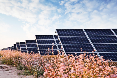 中國華能的“高性價比”光伏電站，妙招在這里！